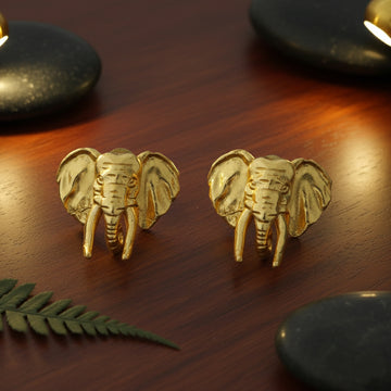 Gajraha Sculpted Studs