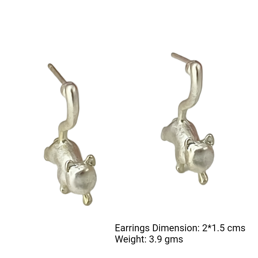 Paws & Poise Cat Studs
